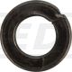 B6 Spring Washer, Black Zinc Plated