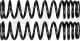 Replica Spring for Rear Shock, 1 pair, black, Made by Eibach/USA