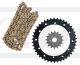 X-Ring Kettensatz 16/42 (100Gl) DID520VX3 G&B