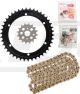 X-Ring Kettensatz inkl. 16Z Ritzel, 42Z Kettenblatt, goldene RK520XRE-Kette mit 100 Gliedern offen mit Nietschloss