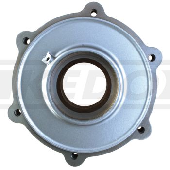 Kettenblatt-Träger (OEM), silber, ohne Stehbolzen (Aufnahme des Kettenblattes)